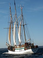 Zawisza