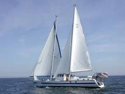 gedania2