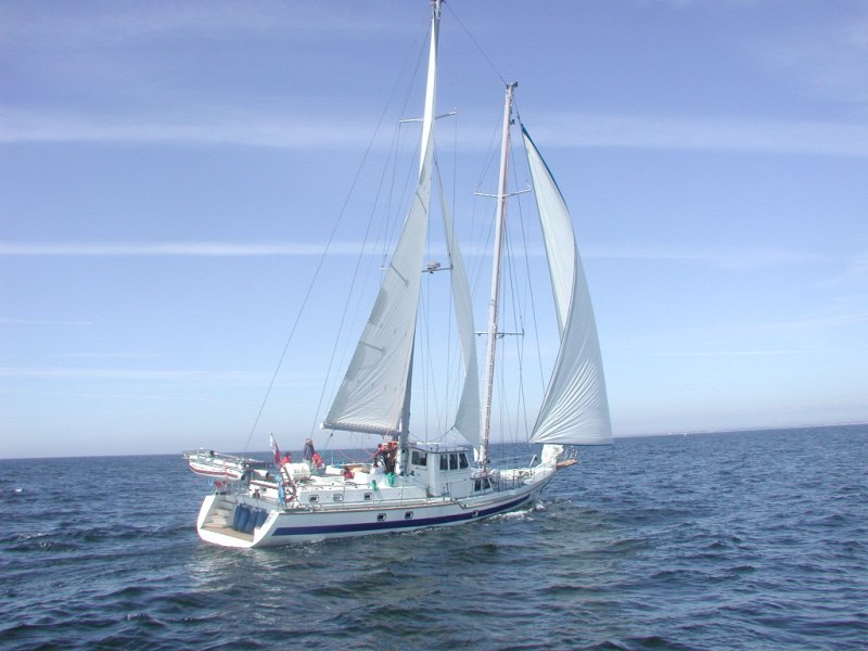 gedania3